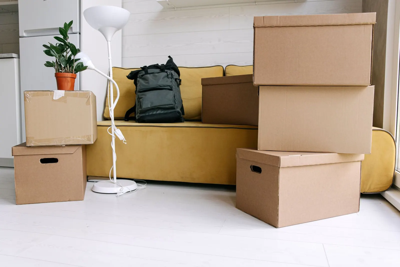 Your First Month in Tampa: A Practical Checklist