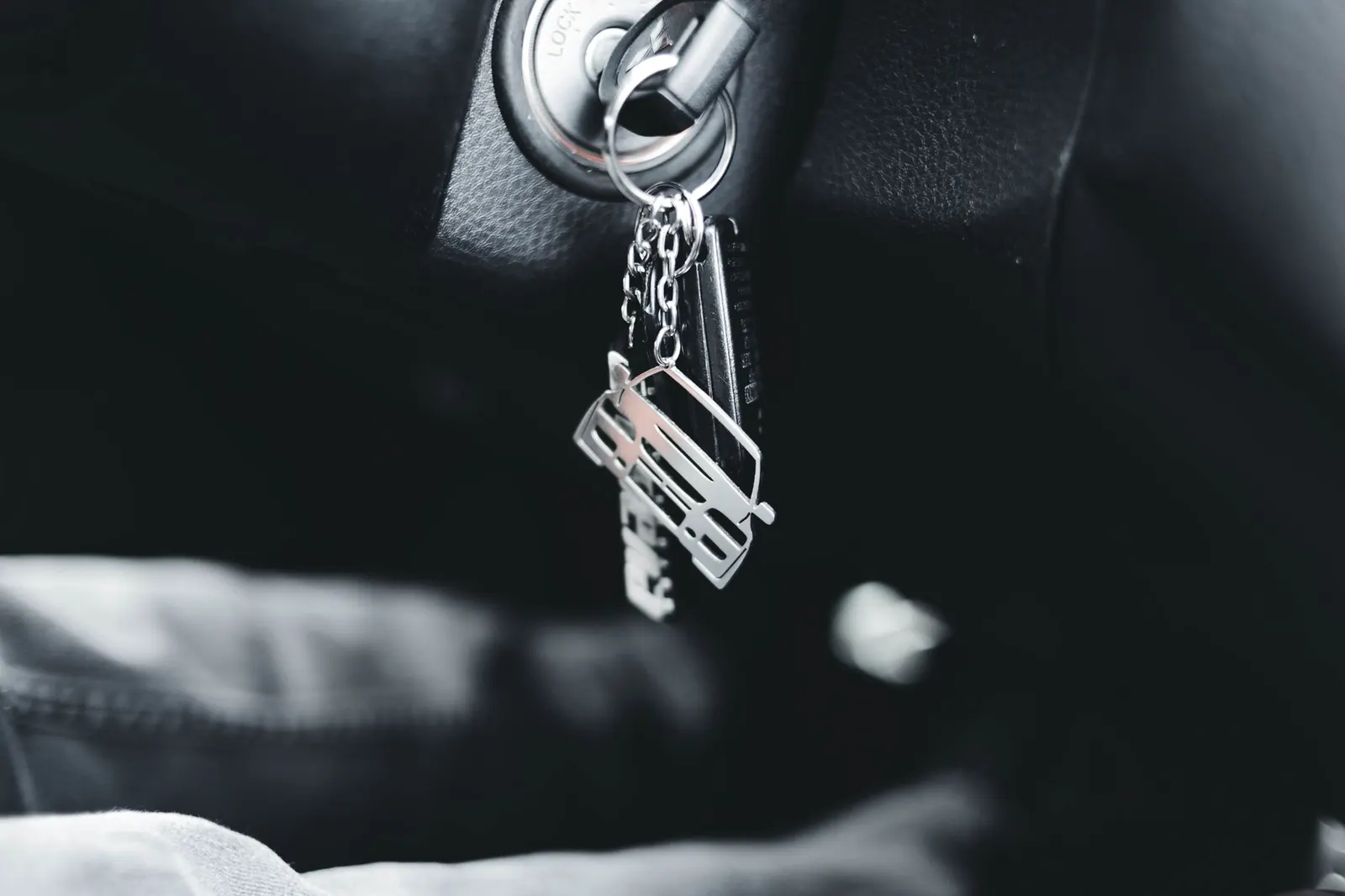 Florida Driver License and Car Registration for New Tampa Residents