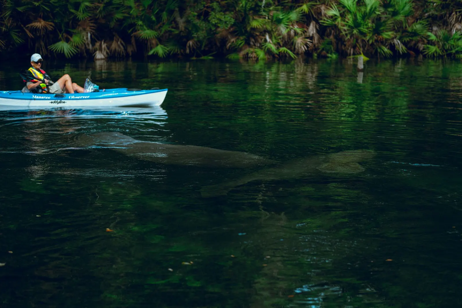 Hillsborough River State Park: Rapids, Trails and Paddling Near Tampa