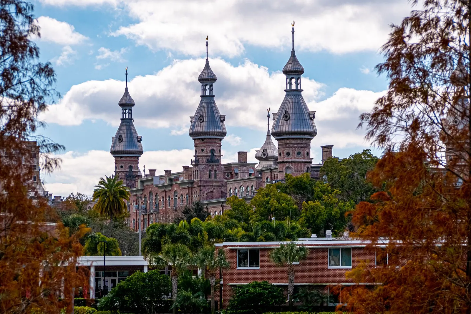 Tampa Museums and the Aquarium: Where to Start